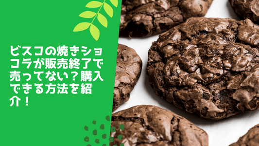 ビスコの焼きショコラが販売終了で売ってない?
