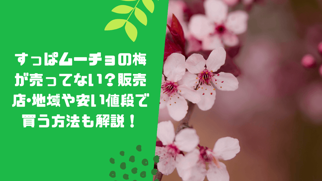 すっぱムーチョの梅が売ってない?販売店・地域や安い値段で買う方法も解説!