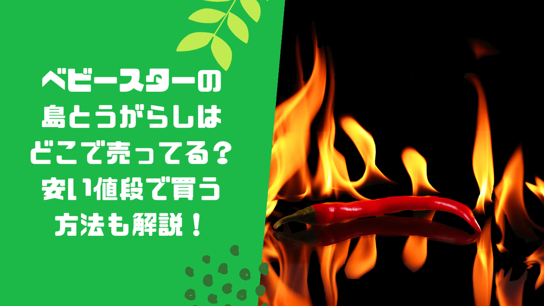 ベビースターの島とうがらしはどこで売ってる?安い値段で買う方法も解説!