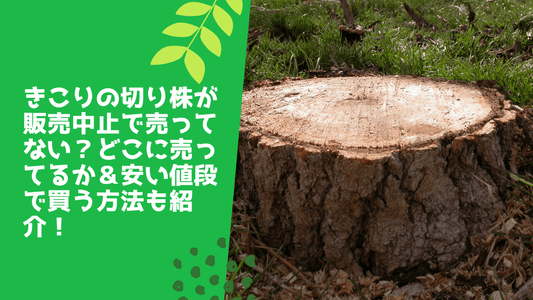 きこりの切り株が販売中止で売ってない?