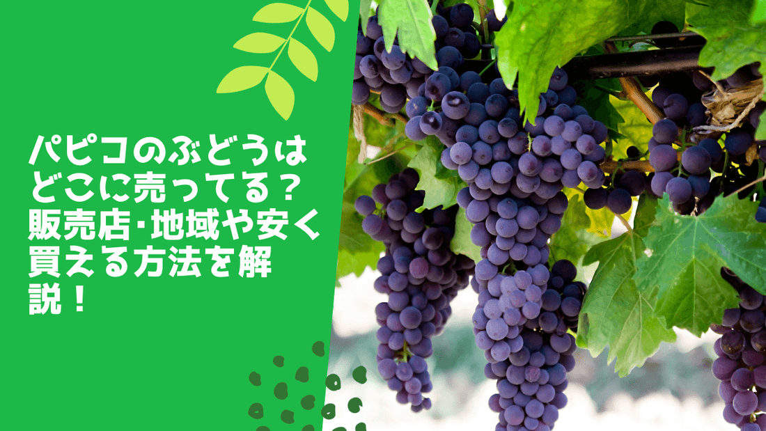 パピコのぶどうはどこに売ってる?販売店・地域や安く買える方法を解説!