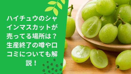 ハイチュウのシャインマスカットが売ってる場所は?