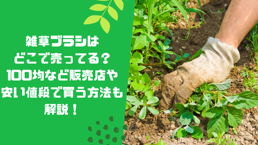 雑草ブラシはどこで売ってる?