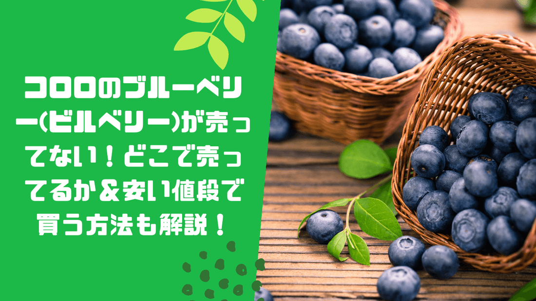 コロロのブルーベリー(ビルベリー)が売ってない!どこで売ってるか&安い値段で買う方法も解説!