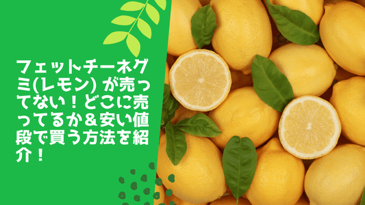 フェットチーネグミ(レモン) が売ってない!どこに売ってるか&安い値段で買う方法を紹介!