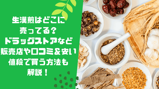 生漢煎はどこに売ってる?