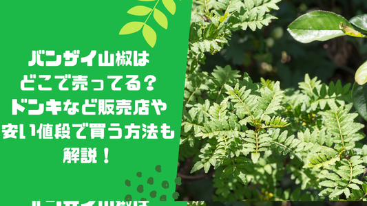 バンザイ山椒はどこで売ってる?ドンキなど販売店や安い値段で買う方法も解説!