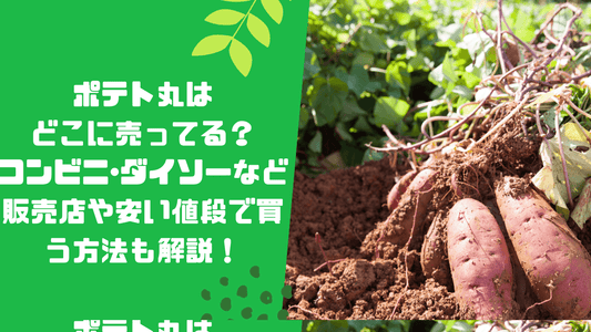 ポテト丸はどこに売ってる?コンビニ・ダイソーなど販売店や安い値段で買う方法も解説!