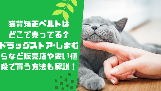 猫背矯正ベルトはどこで売ってる?