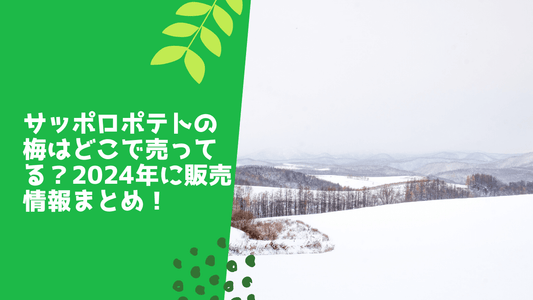 サッポロポテトの梅はどこで売ってる?2024年に販売情報まとめ!