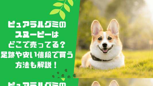 ピュアラルグミのスヌーピーはどこで売ってる?足跡や安い値段で買う方法も解説!
