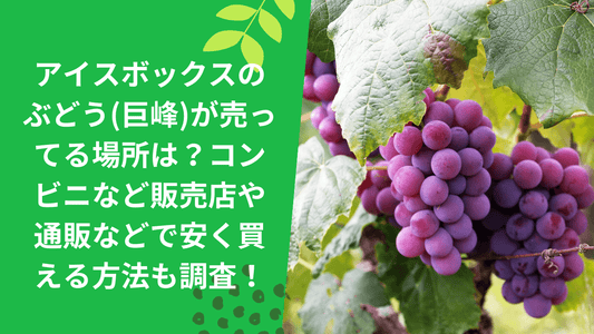 アイスボックスのぶどう(巨峰)が売ってる場所は?コンビニなど販売店や通販などで安く買える方法も調査!