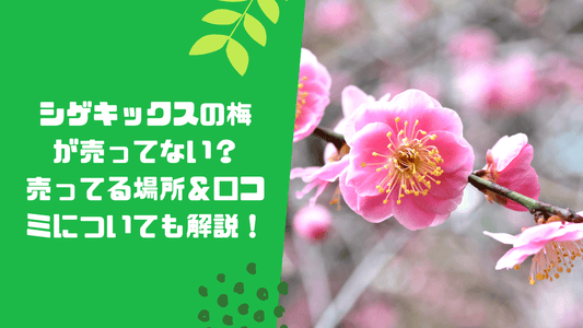 シゲキックスの梅が売ってない?売ってる場所&口コミについても解説!