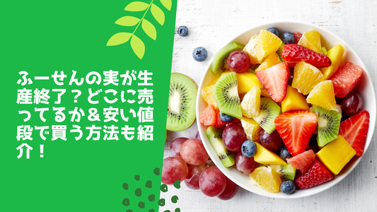 ふーせんの実が生産終了?どこに売ってるか&安い値段で買う方法も紹介!