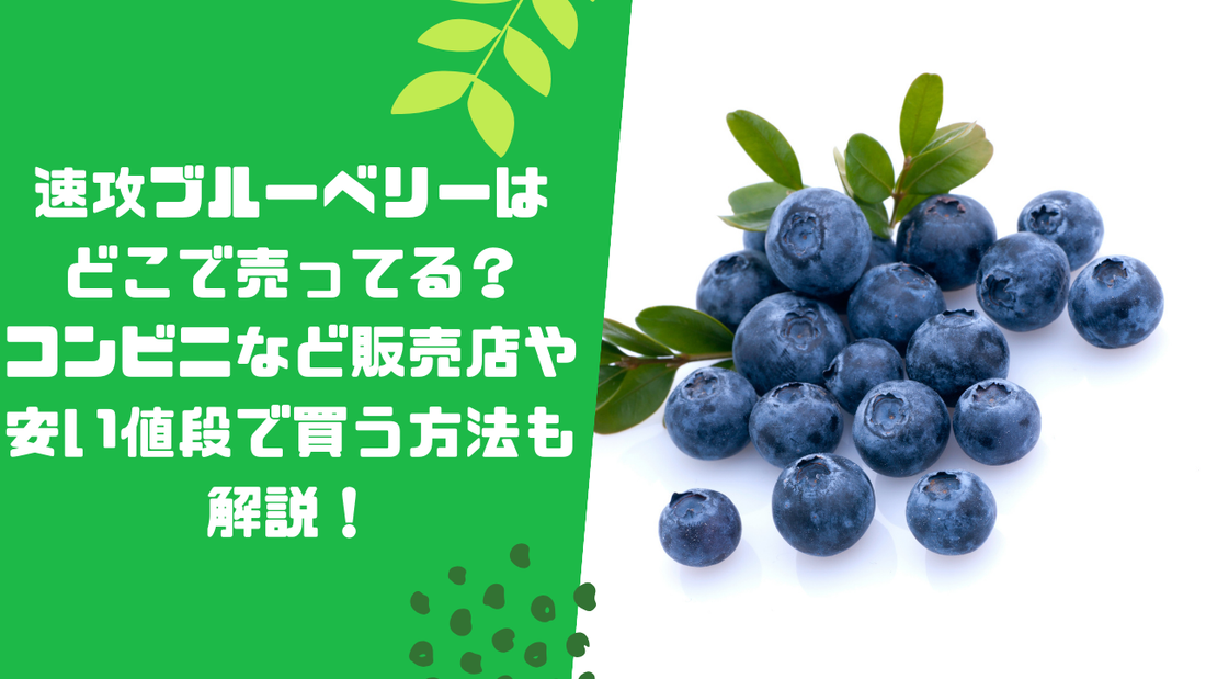 速攻ブルーベリーはどこで売ってる?