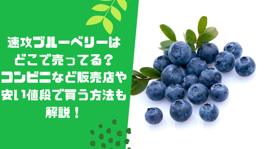 速攻ブルーベリーはどこで売ってる?