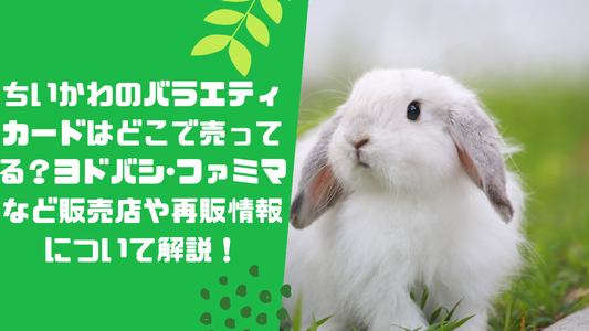 ちいかわのバラエティカードはどこで売ってる?ヨ
