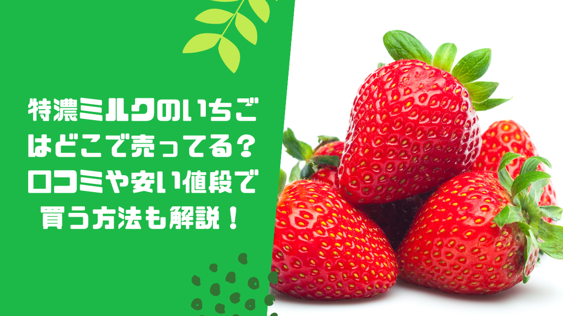 特濃ミルクのいちごはどこで売ってる?口コミや安い値段で買う方法も解説!