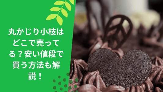 丸かじり小枝はどこで売ってる?安い値段で買う方法も解説!