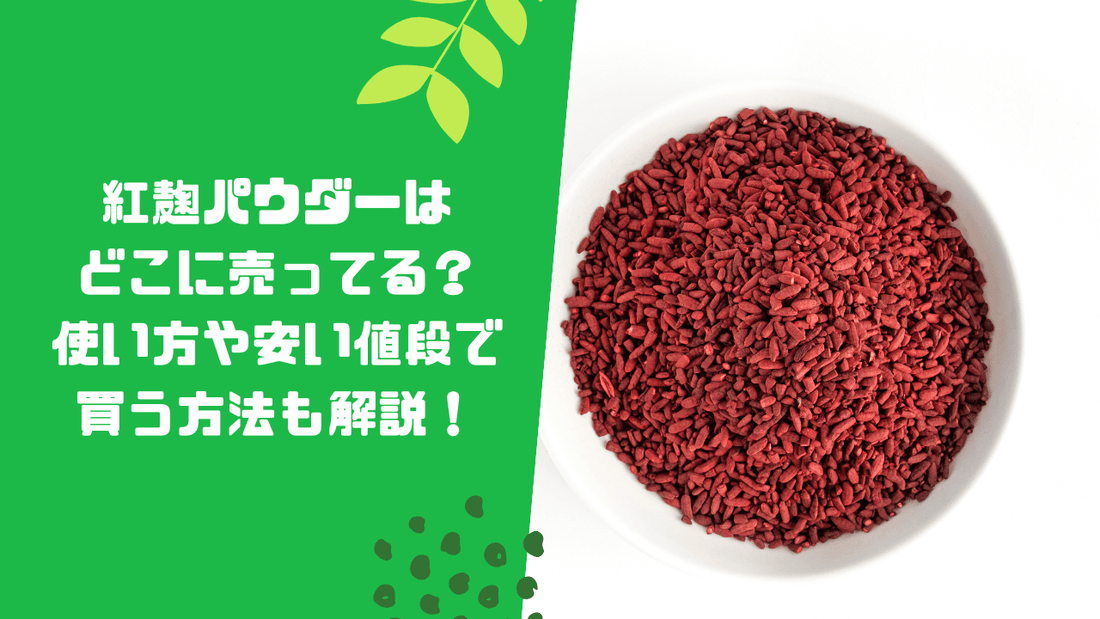 紅麹パウダーはどこに売ってる？使い方や安い値段で買う方法も解説！