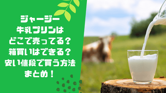 ジャージー牛乳プリンはどこで売ってる？箱買いはできる？安い値段で買う方法まとめ！