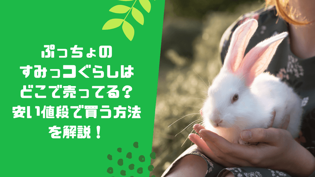 ぷっちょのすみっコぐらしはどこで売ってる？安い値段で買う方法を解説！