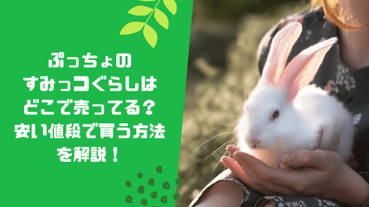 ぷっちょのすみっコぐらしはどこで売ってる？安い値段で買う方法を解説！