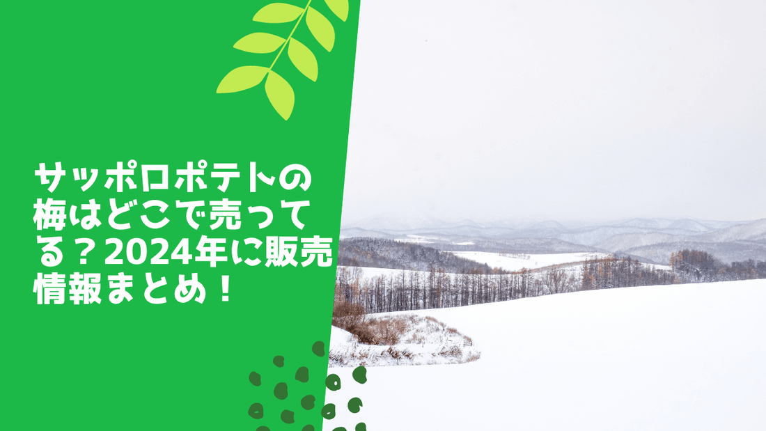 サッポロポテトの梅はどこで売ってる？2024年に販売情報まとめ！