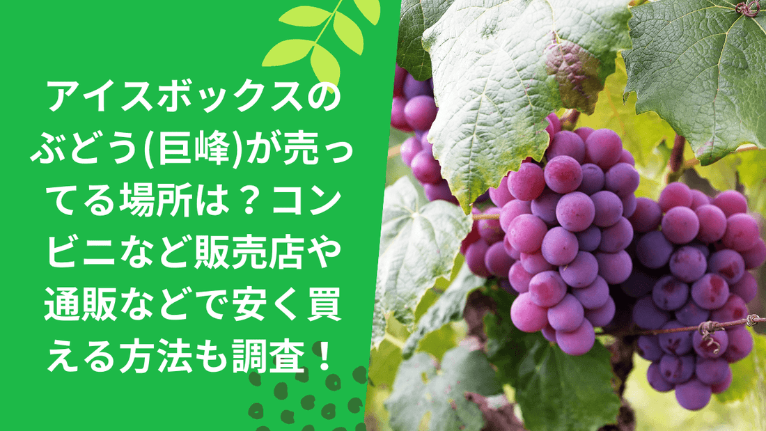 アイスボックスのぶどう(巨峰)が売ってる場所は？コンビニなど販売店や通販などで安く買える方法も調査！