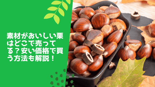 素材がおいしい栗はどこで売ってる？安い価格で買う方法も解説！