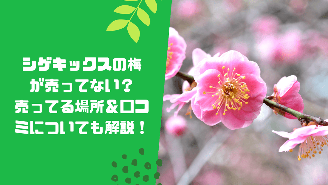 シゲキックスの梅が売ってない？売ってる場所＆口コミについても解説！