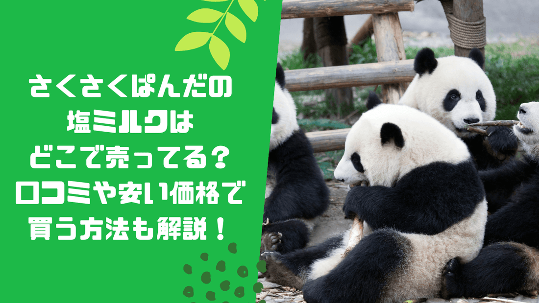 さくさくぱんだの塩ミルクはどこで売ってる？安い値段で買う方法も解説！